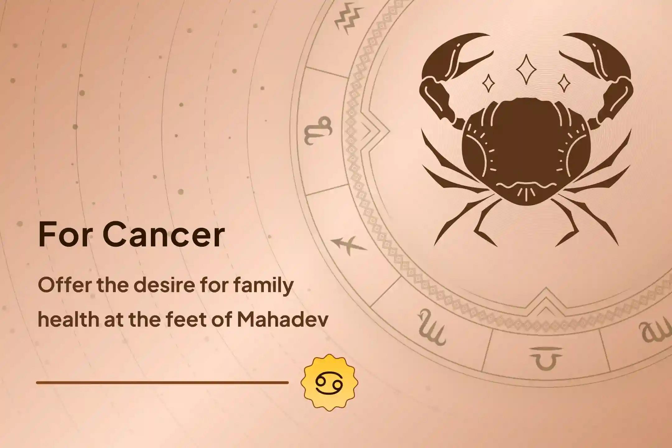 🙏 For the prayer of the health of parents and ❤️ protection from sickness related to your heart, join the special ritual dedicated to Mahadev, God of Gods 🕉️..