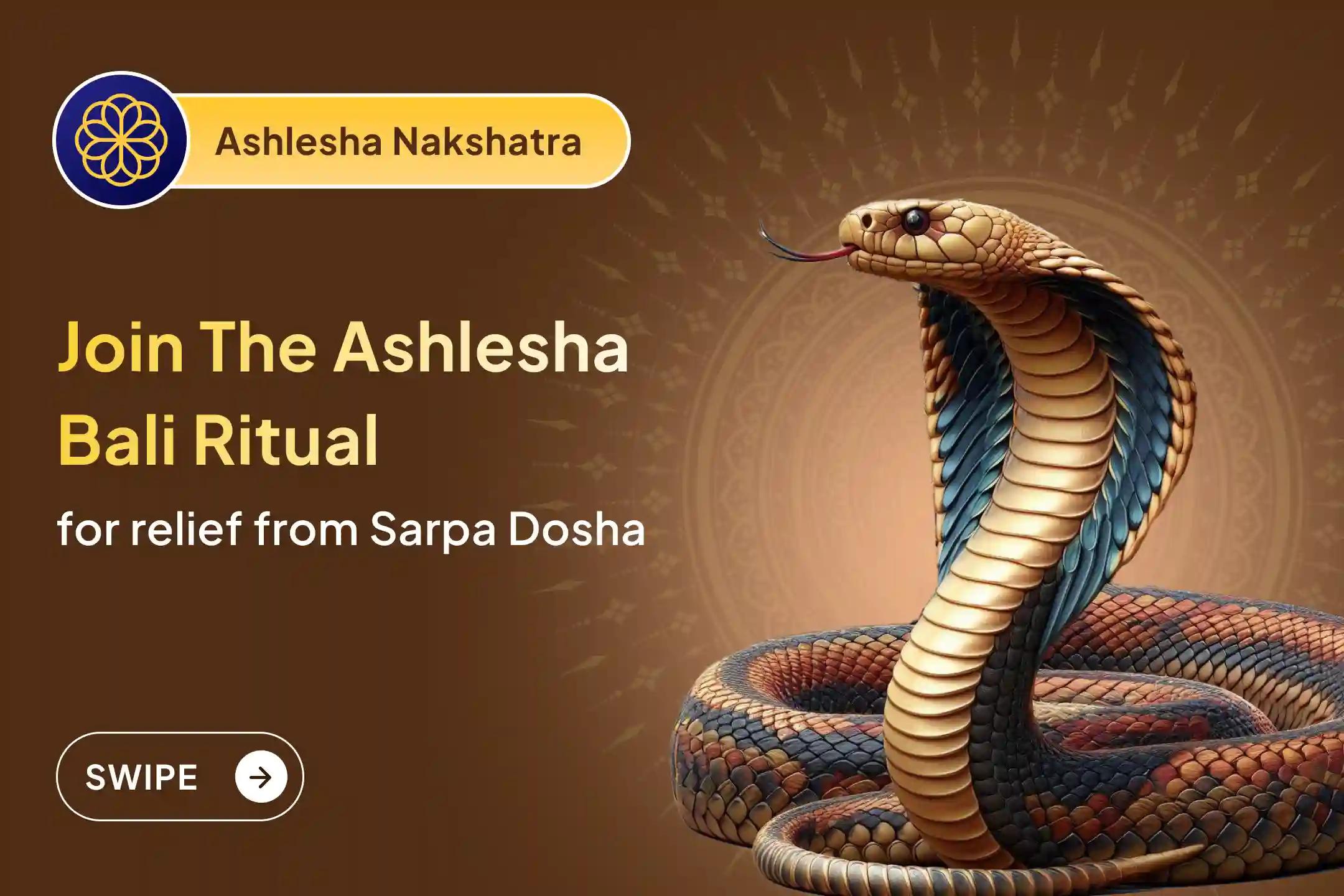 Is an unseen force obstructing happiness and success in your life? 🌑 Pacify negative energy in this special Nakshatra and welcome peace and balance into life with the blessings of 🐍 Nag Devta (Serpent God).