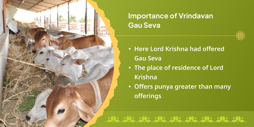 2025 Last Purnima Vrindavan Kamadhenu Gau Seva