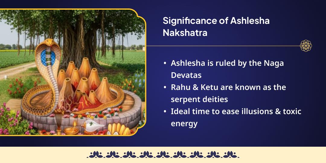 Ashlesha Nakshatra Rahu-Ketu Shanti Rahu Paithani Chadhava
