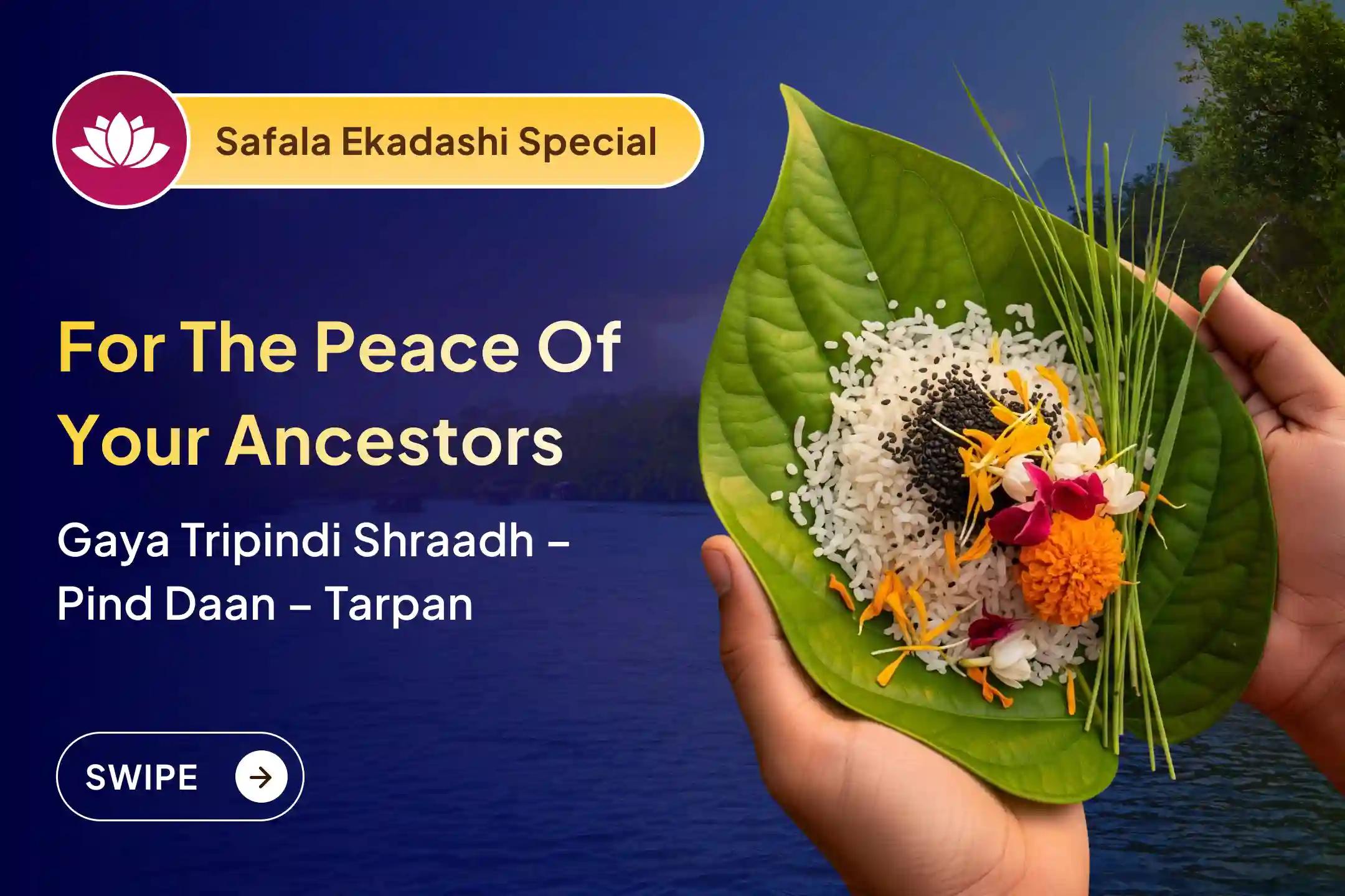 📿 When ancestors’ blessings are with you, progress becomes easier… On the last Ekadashi of 2025, receive the true direction of family happiness through Pitru Anushthan 📿