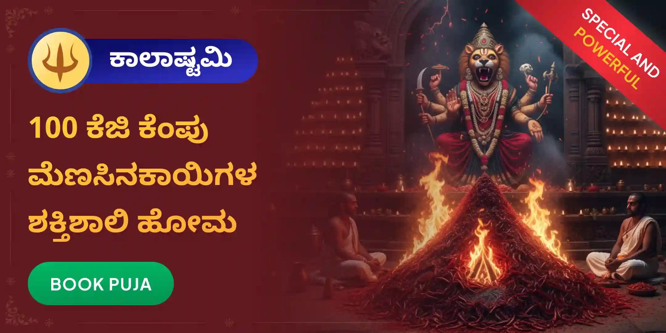 100 ಕೆಜಿ ಕೆಂಪು ಮೆಣಸಿನಕಾಯಿಗಳ ಆಹುತಿ – ಪ್ರತ್ಯಂಗಿರಾ–ನರಸಿಂಹ ಕವಚ ಮಹಾಯಜ್ಞ