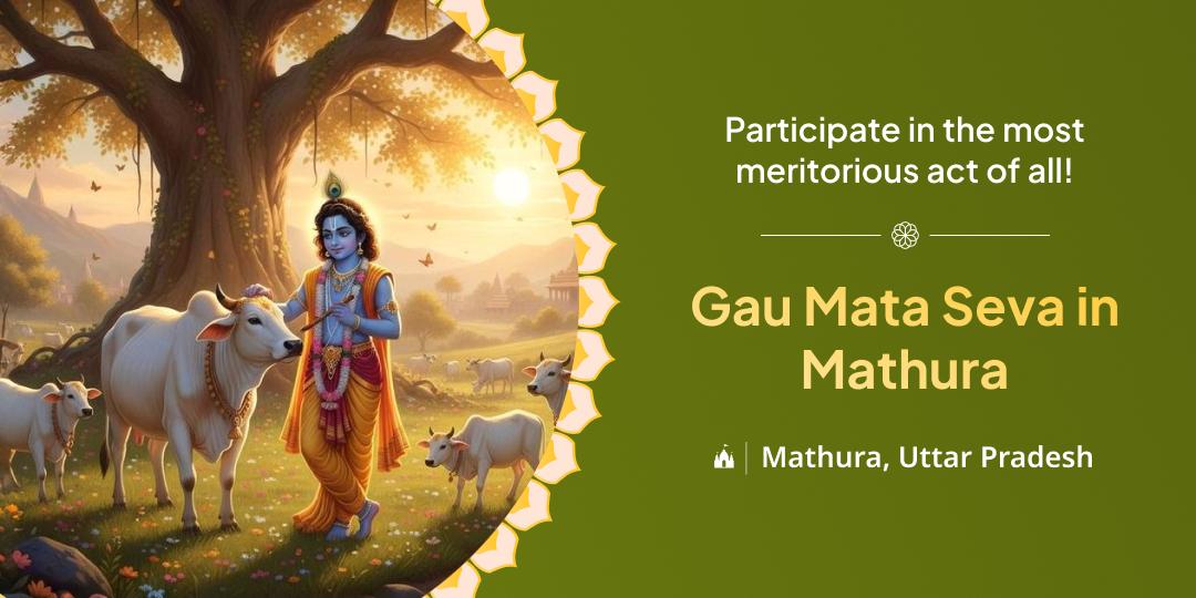 Gau Mata Seva in Mathura