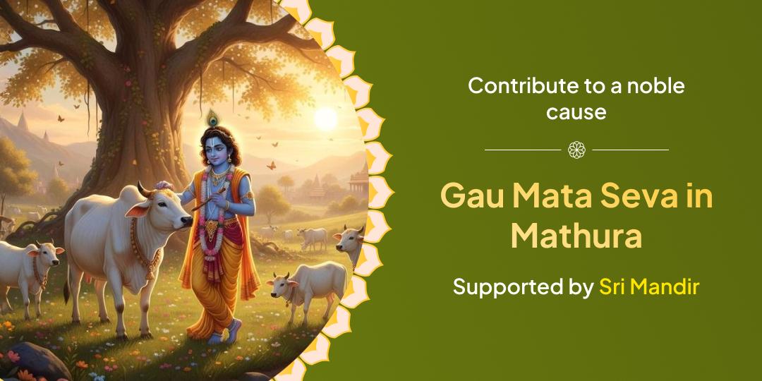 Gau Mata Seva in Mathura