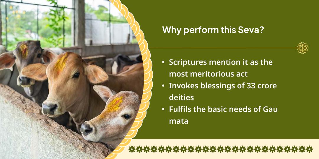 Gau Mata Seva in Mathura