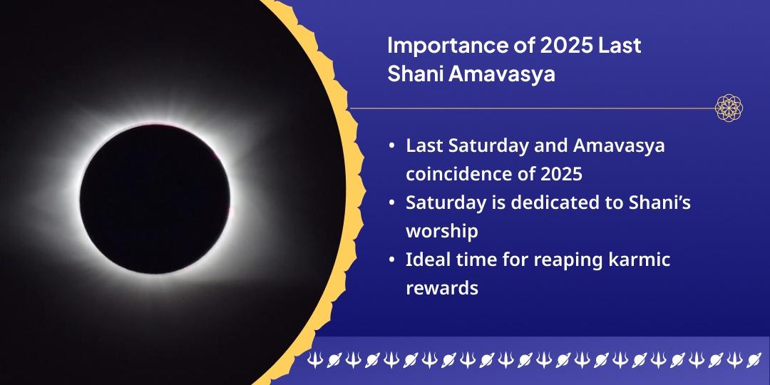 2025 Last Shani Amavasya Shani Navgrah Shanti Brahmin Seva