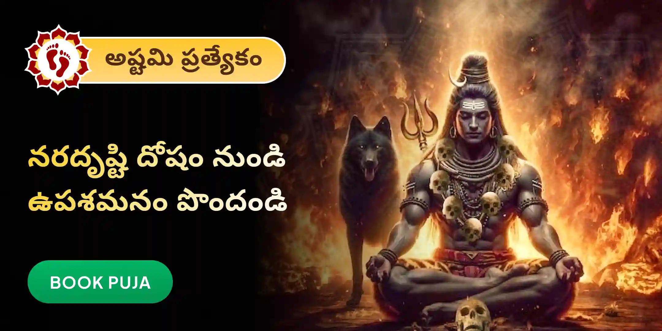 నరదృష్టి దోష శాంతి పూజ మరియు హోమం