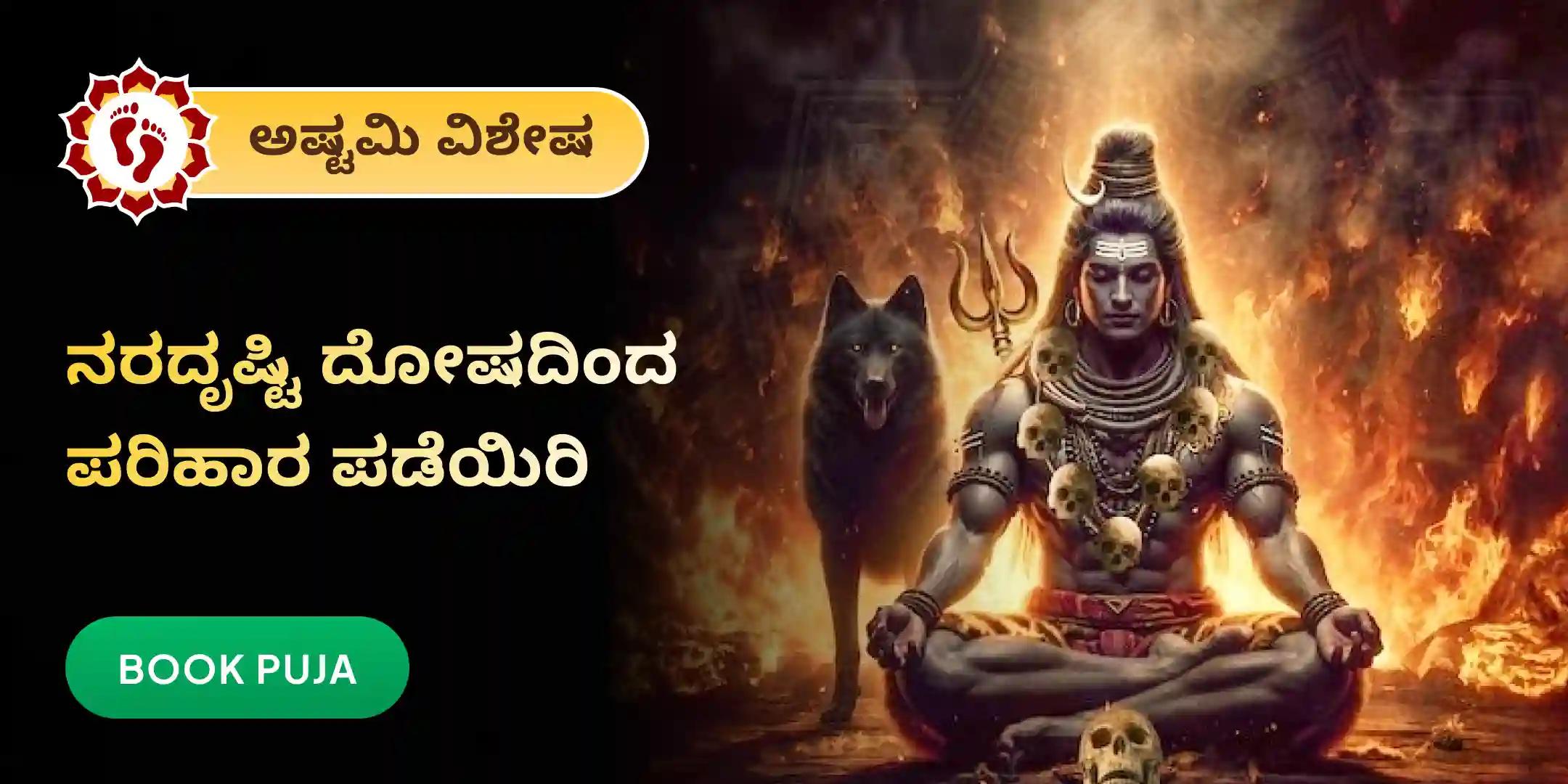 ದೃಷ್ಟಿ ದೋಷ ಶಾಂತಿ ಪೂಜೆ ಮತ್ತು ಹೋಮ