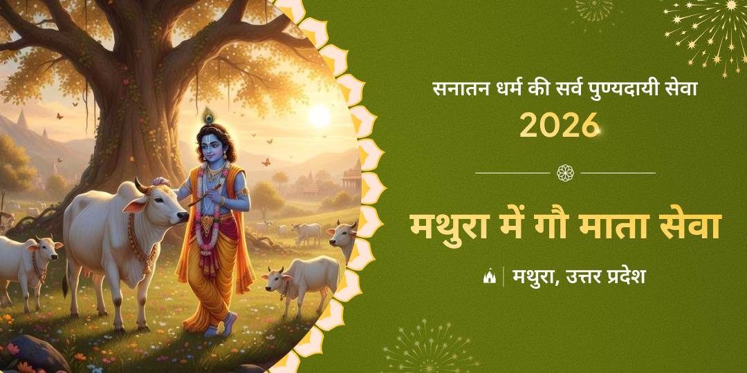 मथुरा में गौ माता सेवा