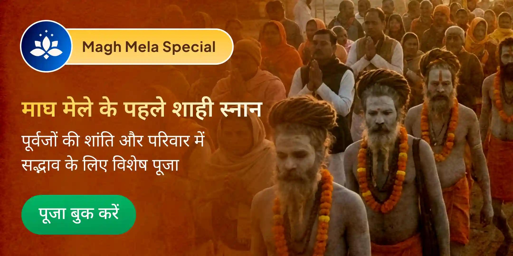 पितृ दोष शांति महापूजा एवं त्रिवेणी संगम आरती