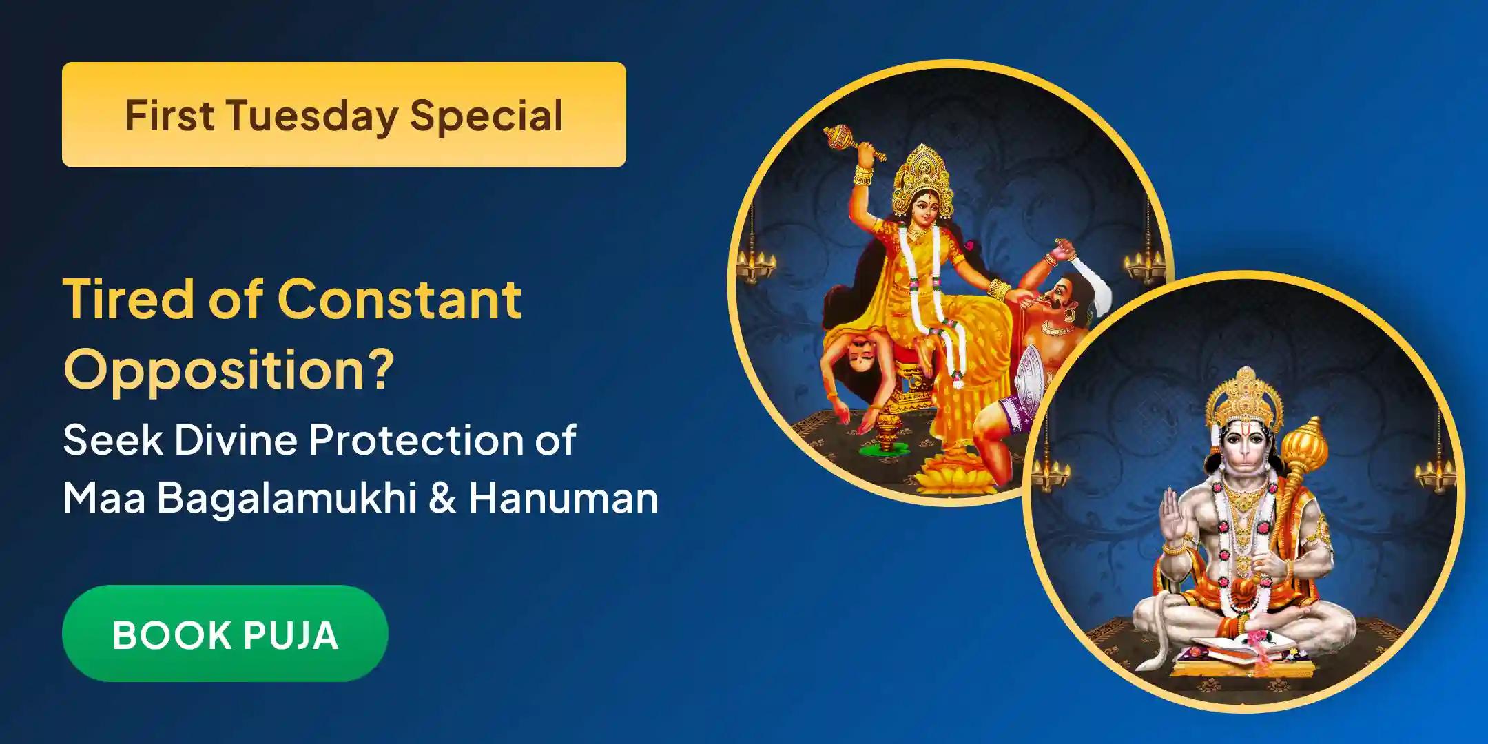  Maa Bagalamukhi Shatru Buddhi Vinashini Yagya and Hanuman Shatrunjay Pujan