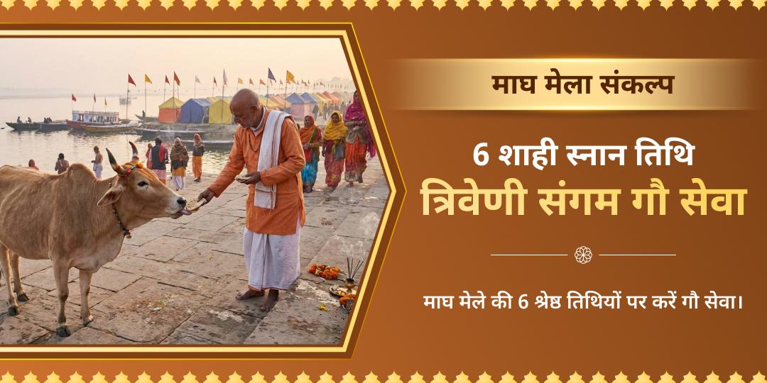 माघ मेला 6 शाही स्नान तिथि त्रिवेणी संगम गौसेवा संकल्प 