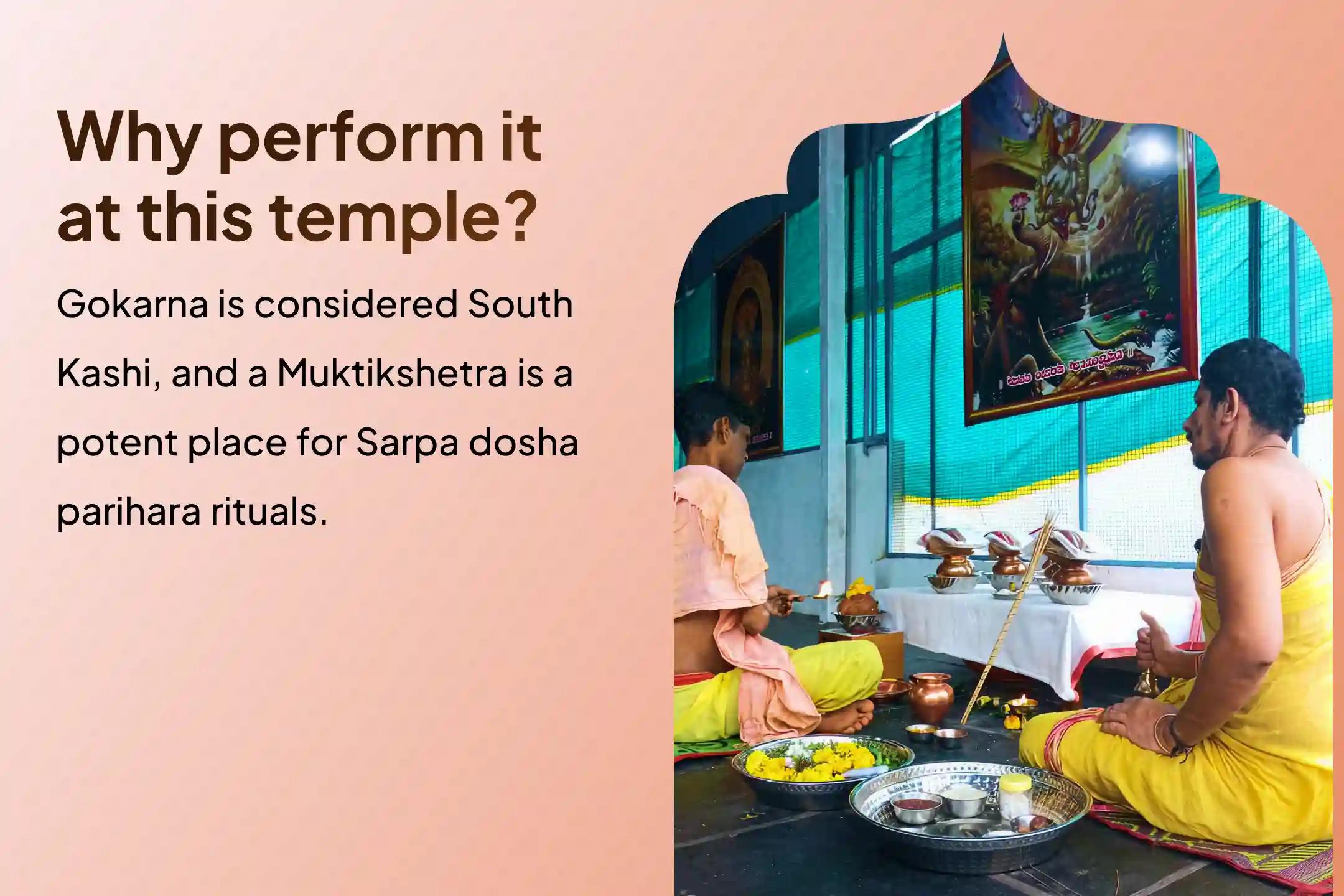 Participate in the First Ashlesha Nakshatra Gokarna Special Ashlesha Naga Bali Puja to remove the malicious effects of Sarpa (Naga) Dosha and clean karmic sins.