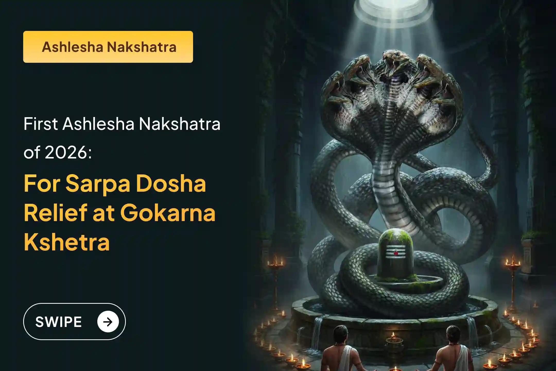 Participate in the First Ashlesha Nakshatra Gokarna Special Ashlesha Naga Bali Puja to remove the malicious effects of Sarpa (Naga) Dosha and clean karmic sins.