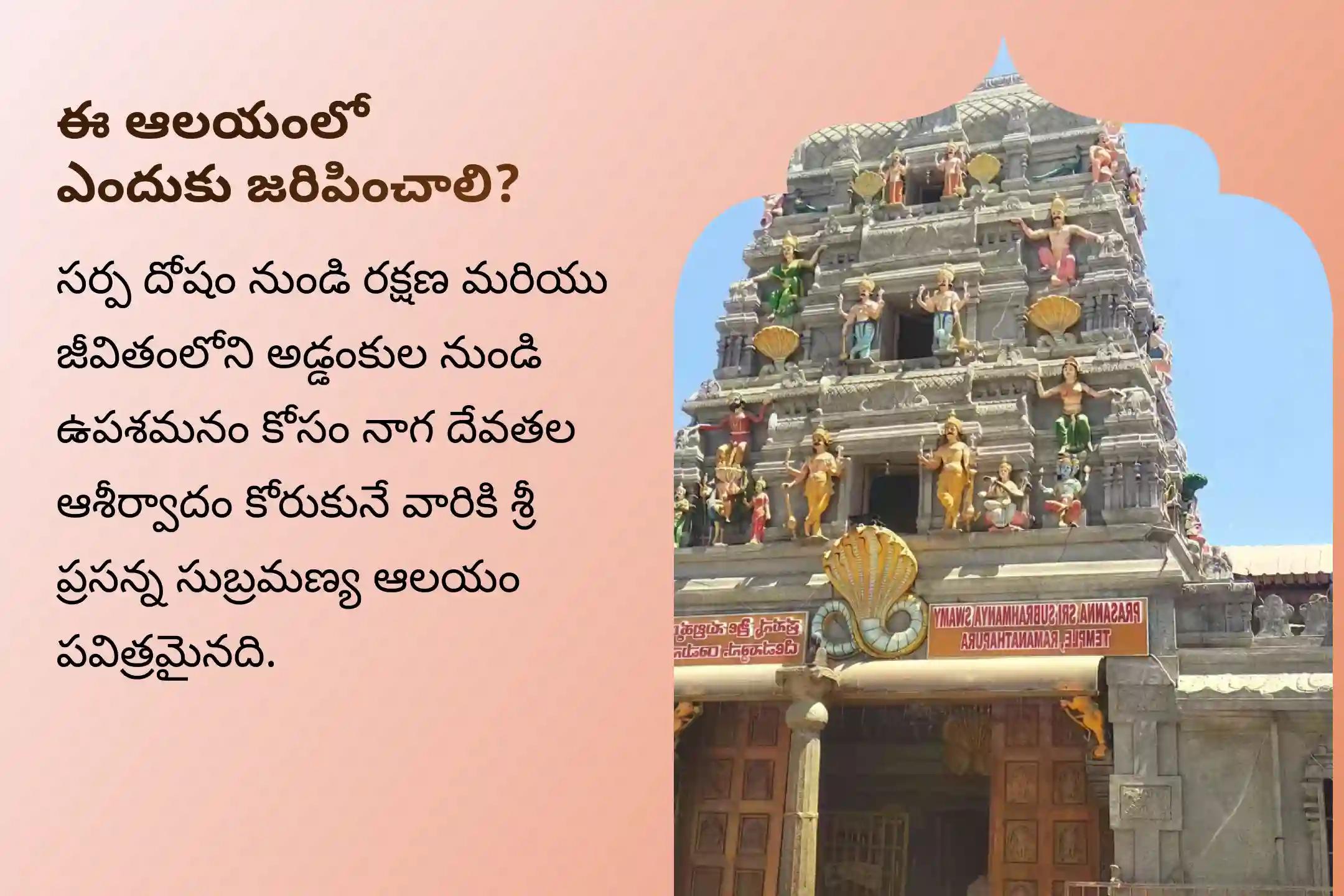 సర్ప దోష నివారణ కోసం నాగ దేవత ఆశీస్సులు పొందడానికి ఆశ్లేష నక్షత్రం - నాగ ప్రతిష్ఠ ప్రత్యేక నాగ ప్రతిష్ఠ పూజలో పాల్గొనండి