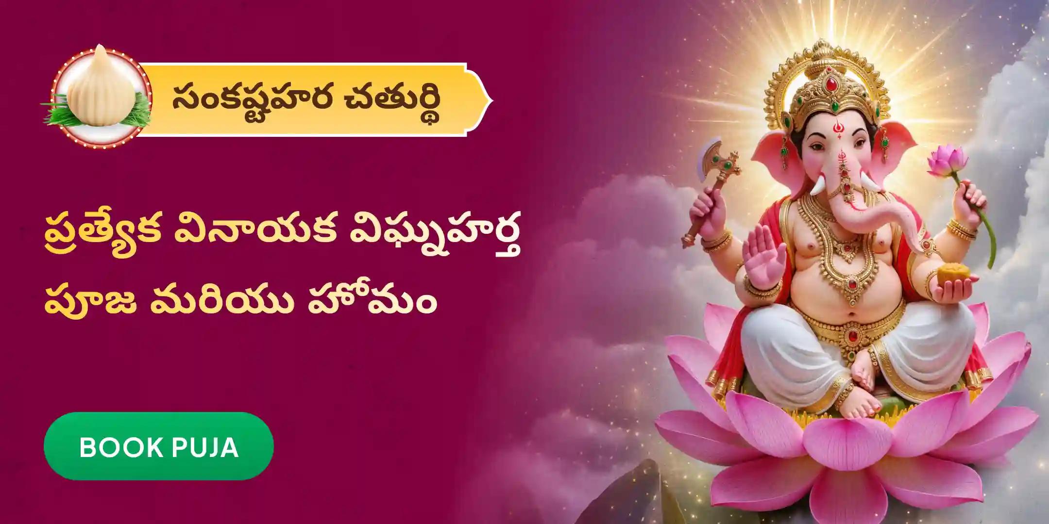 వినాయక విఘ్నహర్త పూజ మరియు హోమం