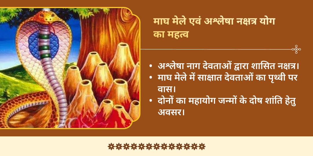 माघ मेला अश्लेषा नक्षत्र महायोग तक्षकेश्वर एवं त्रिवेणी संगम चढ़ावा 