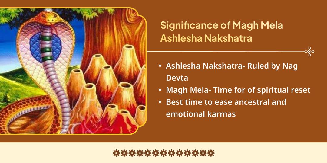 Magh Mela Ashlesha Nakshatra Mahayog Takshakeshwar & Triveni Sangam Kalsarp, Pitru Shanti Chadhava