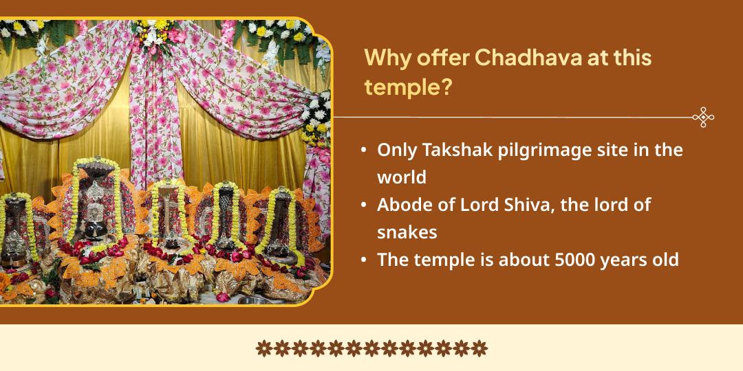 Magh Mela Ashlesha Nakshatra Mahayog Takshakeshwar & Triveni Sangam Kalsarp, Pitru Shanti Chadhava