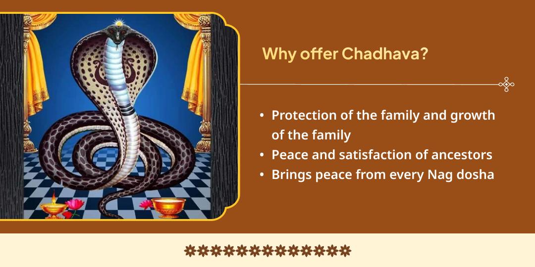 Magh Mela Ashlesha Nakshatra Mahayog Takshakeshwar & Triveni Sangam Kalsarp, Pitru Shanti Chadhava