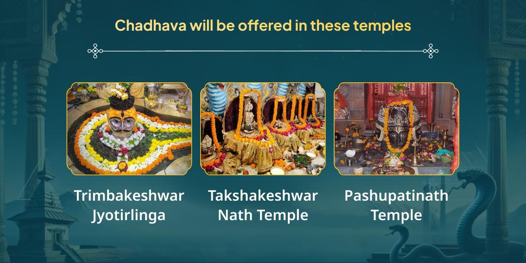 2026 First Panchami Kaal Sarp & Rahu-Ketu Shanti Trishakti Chadhava