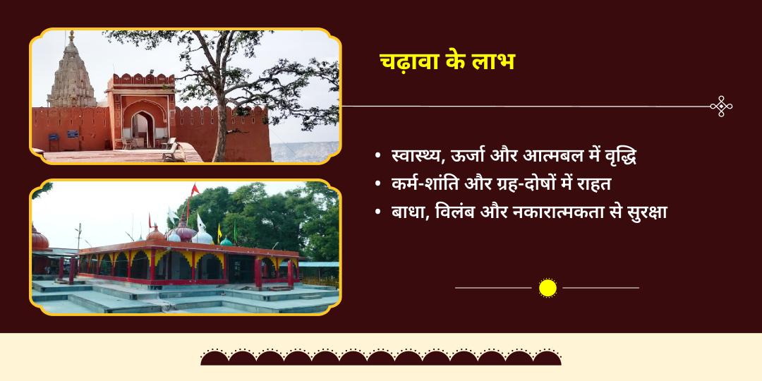 मकर संक्रांति विशेष सूर्य-शनि शांति चढ़ावा 