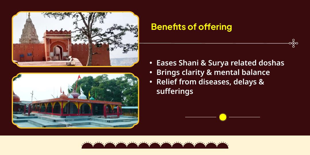 Makar Sankranti Special Surya-Shani Shanti Chadhava