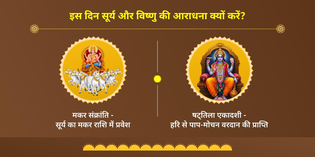 मकर संक्रांति और षट्तिला एकादशी तिल विशेष सेवा 