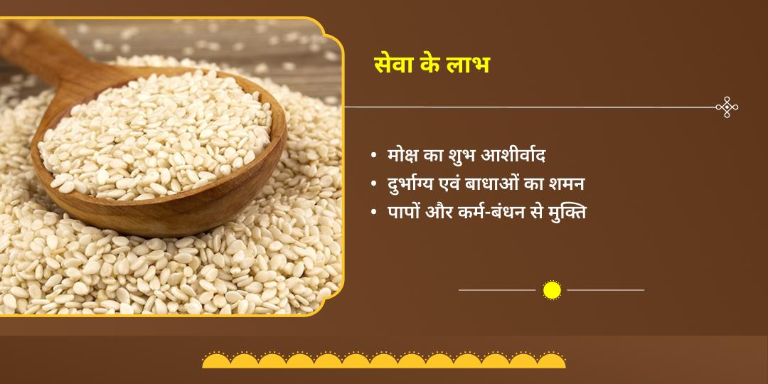 मकर संक्रांति और षट्तिला एकादशी तिल विशेष सेवा 