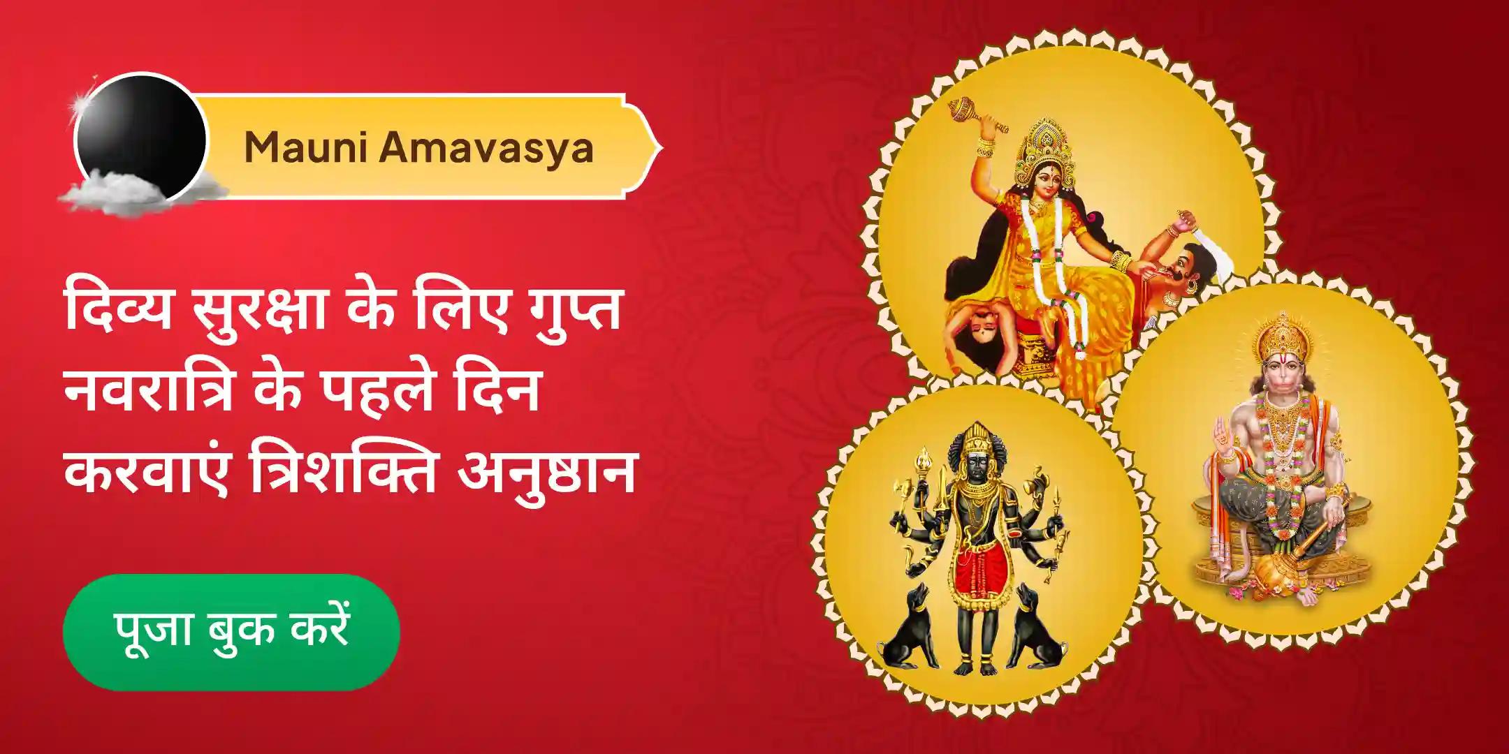 माँ बगलामुखी, काल भैरव और संकट मोचन हनुमान सर्व कष्ट निवारण पूजा और यज्ञ