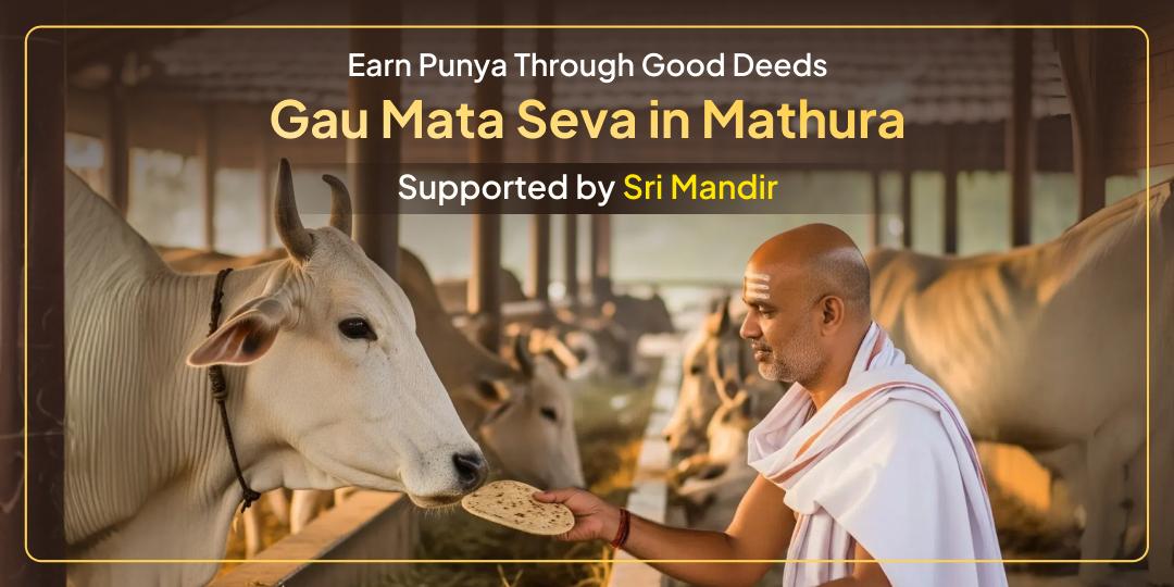 Gau Mata Seva in Mathura