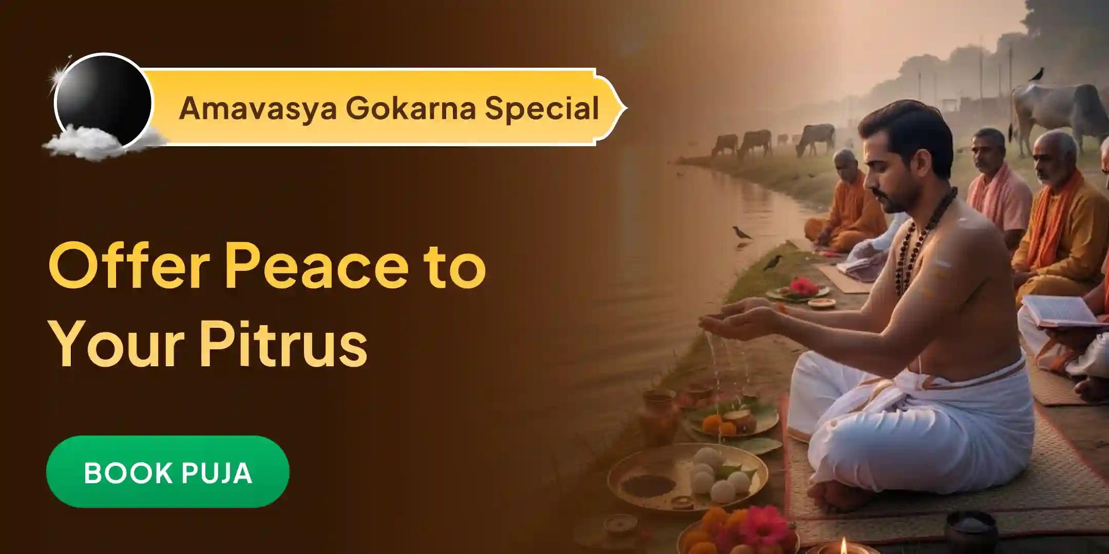 Narayan Bali Puja, Tripindi Shradh, Pitru Dosh Shanti Puja, and Tila Homa