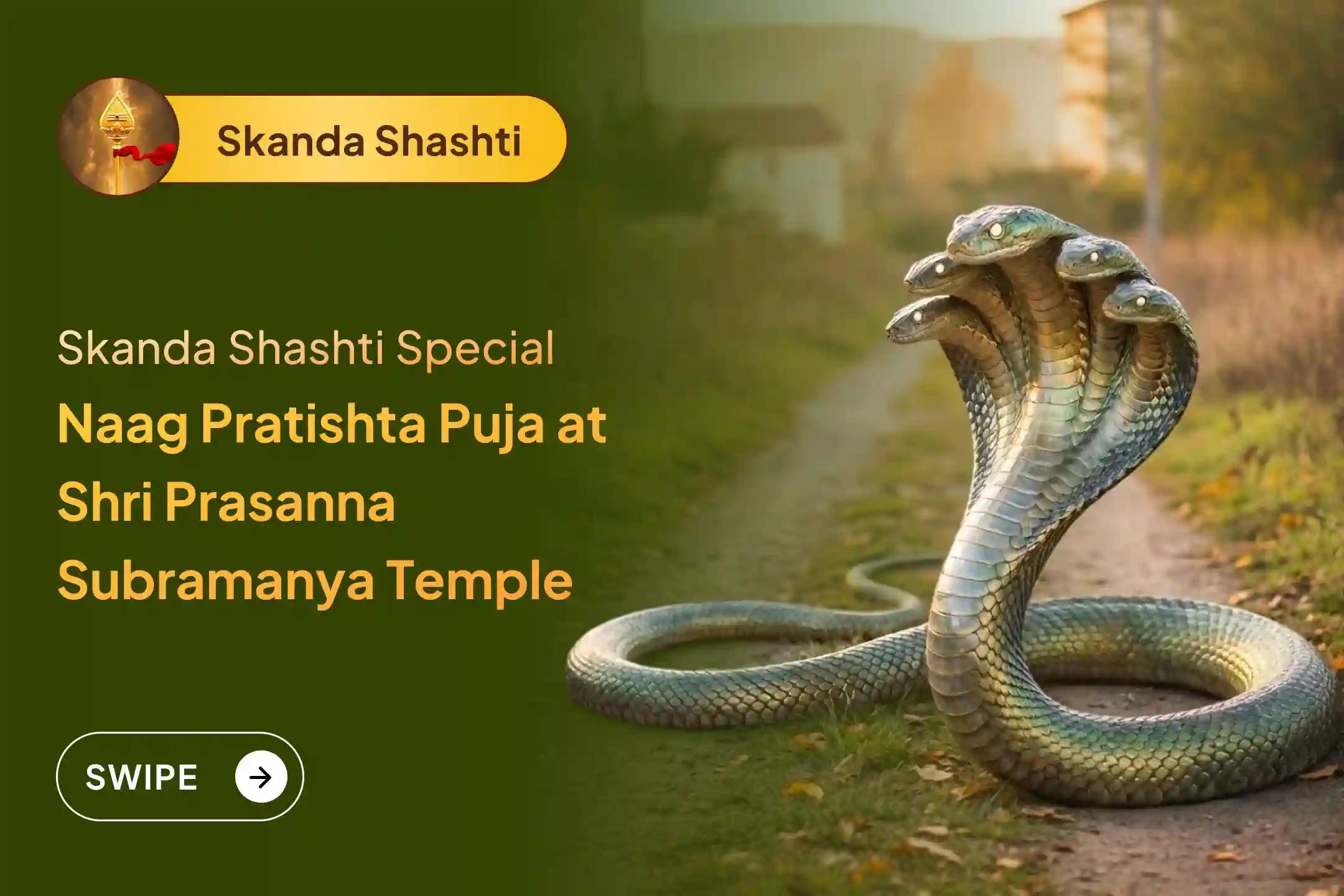 Participate in the Skanda Shashti - Naag Pratishtha Special Naag Pratishtha Puja to get blessings from Naga Devta for Sarpa Dosha Relief.