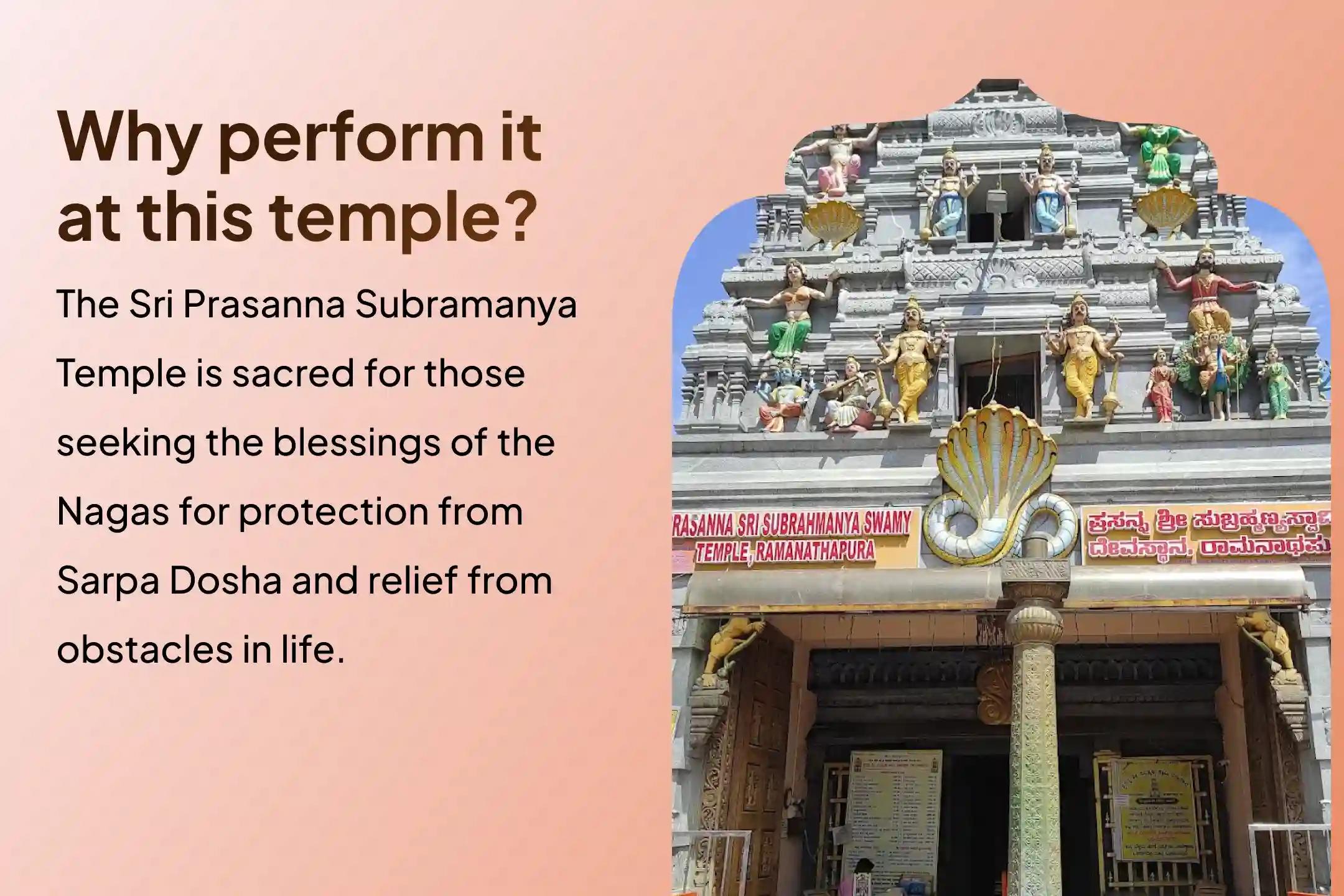 Participate in the Skanda Shashti - Naag Pratishtha Special Naag Pratishtha Puja to get blessings from Naga Devta for Sarpa Dosha Relief.