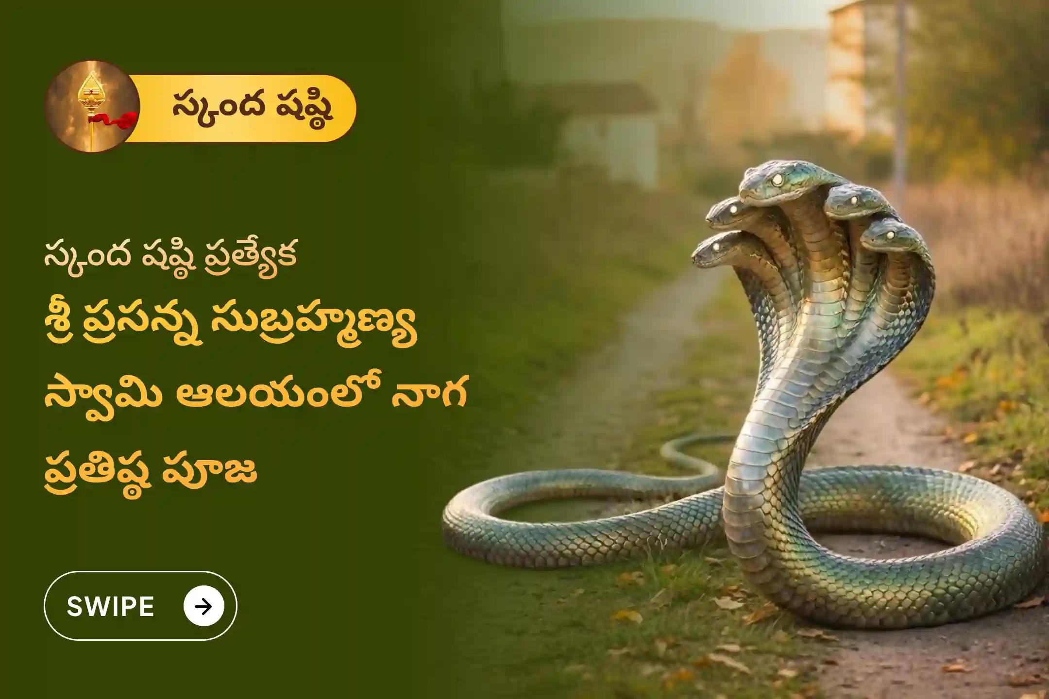 సర్ప దోష నివారణ కోసం నాగ దేవత ఆశీస్సులు పొందడానికి స్కంద షష్ఠి - నాగ ప్రతిష్ఠ ప్రత్యేక నాగ ప్రతిష్ఠ పూజలో పాల్గొనండి.