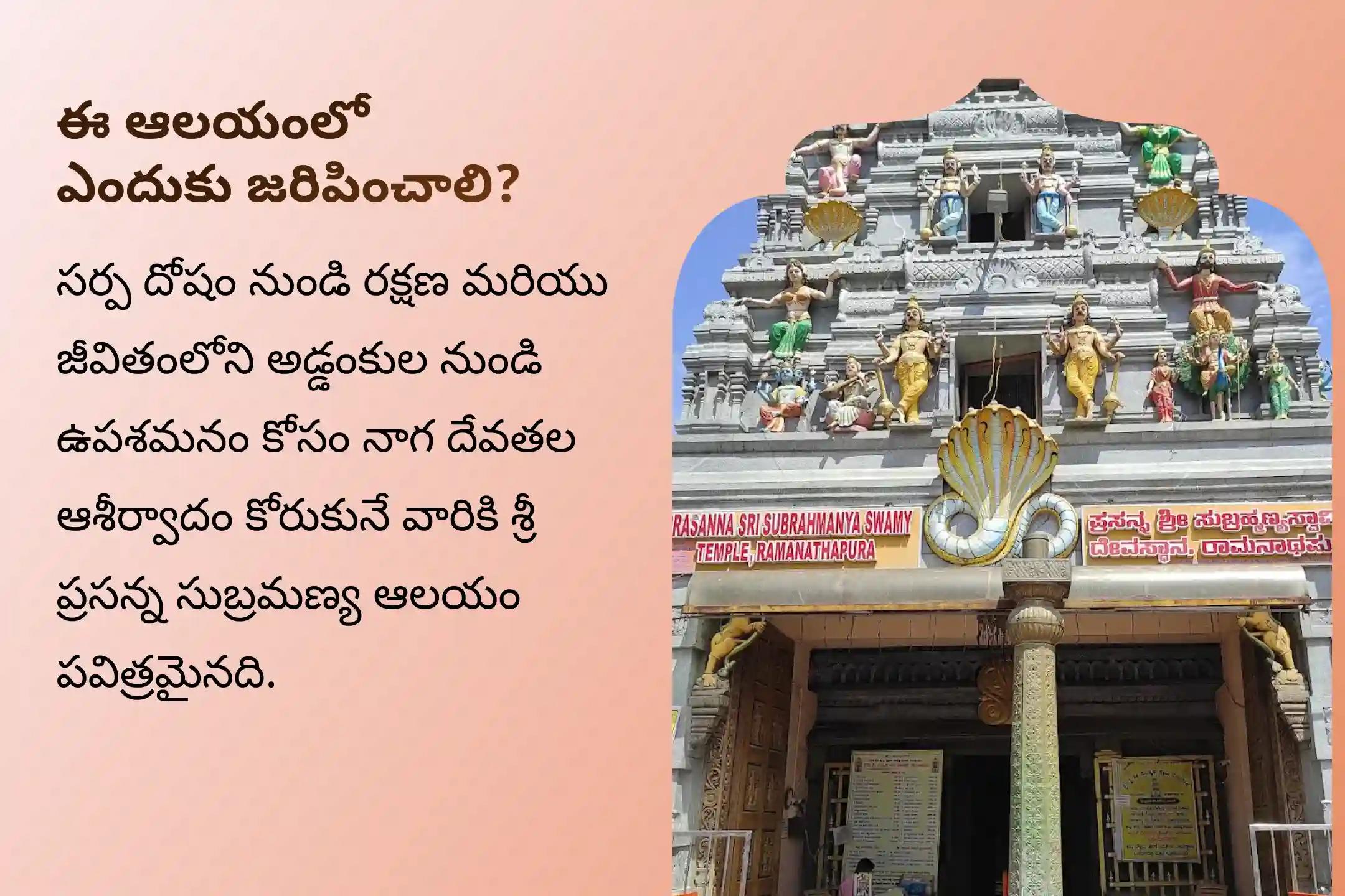 సర్ప దోష నివారణ కోసం నాగ దేవత ఆశీస్సులు పొందడానికి స్కంద షష్ఠి - నాగ ప్రతిష్ఠ ప్రత్యేక నాగ ప్రతిష్ఠ పూజలో పాల్గొనండి.