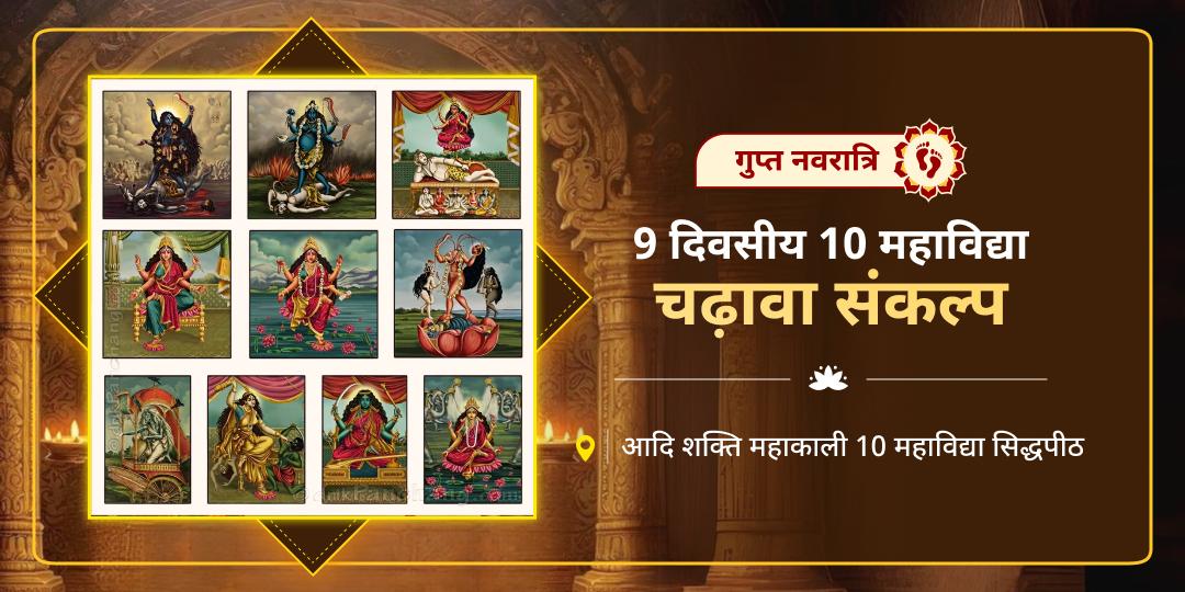 नवचेतना, नवशक्ति और नवसंकल्प का अद्भुत संगम! गुप्त नवरात्रि की प्रतिपदा पर देवभूमि हरिद्वार स्थित 10 महाविद्या मंदिर में महाचढ़ावा करें।