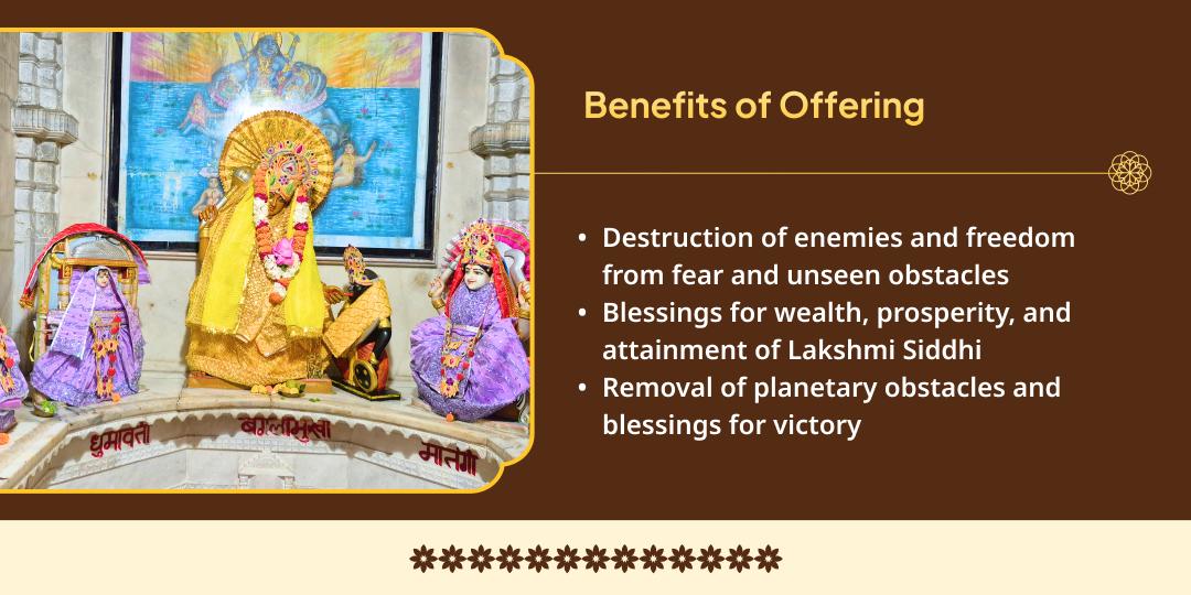 Gupt Navratri 9 Day 10 Mahavidya Chadhava Sankalp