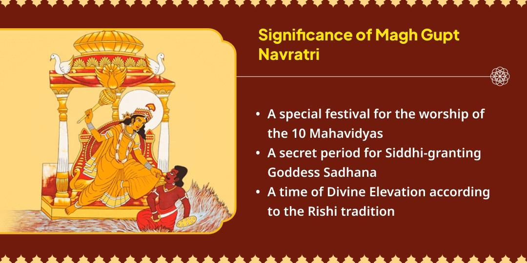 Maa Baglamukhi Nazar Dosh Shanti 21 Kg Red Chilli Havan Ahuti