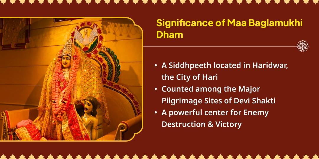 Maa Baglamukhi Nazar Dosh Shanti 21 Kg Red Chilli Havan Ahuti