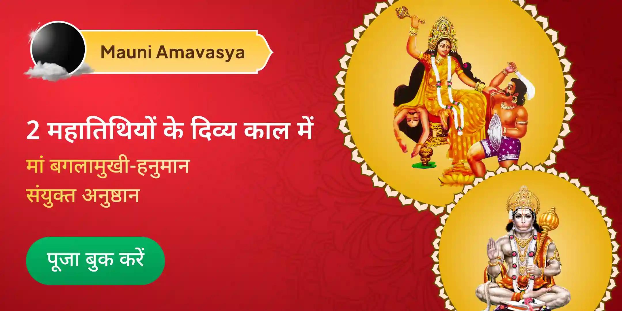 माँ बगलामुखी, काल भैरव और संकट मोचन हनुमान सर्व कष्ट निवारण पूजा और यज्ञ