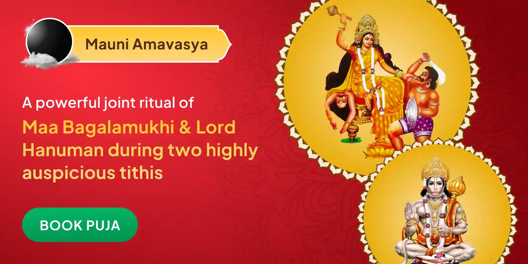  Maa Bagalamukhi, Kaal Bhairav and Sankat Mochan Hanuman Sarva Kasht Nivaran Puja and Yagya