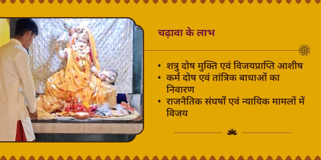 गुप्त नवरात्रि महा अष्टमी शत्रु नाशक अष्ट महाविद्या माँ बगलामुखी चढ़ावा 