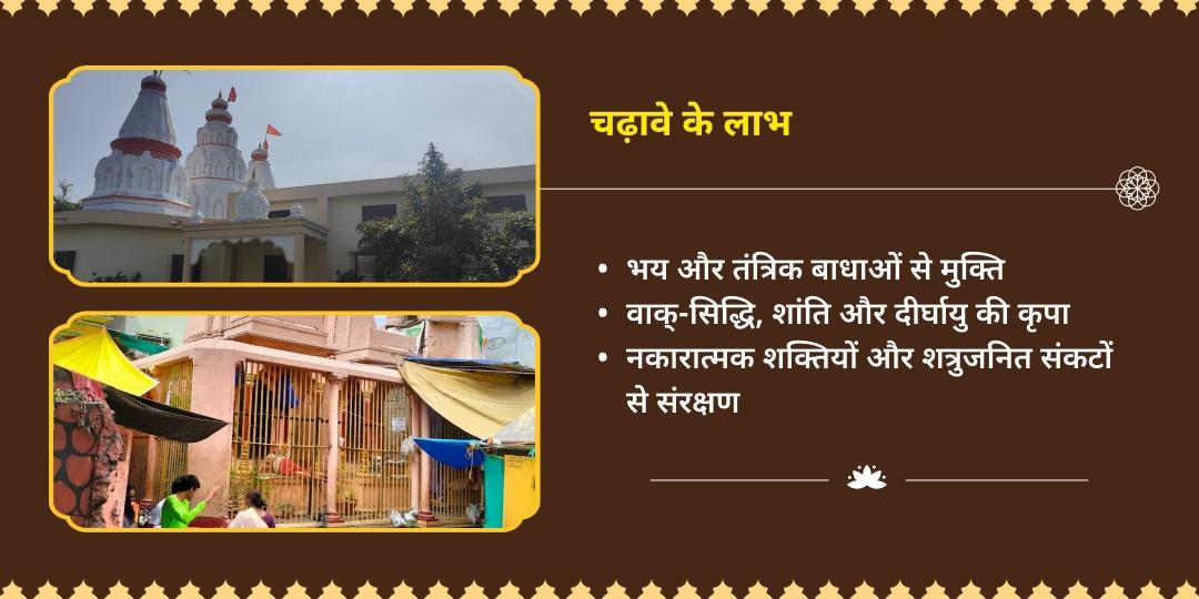 गुप्त नवरात्रि माँ बगलामुखी उज्जैन - काल भैरव काशी चढ़ावा 