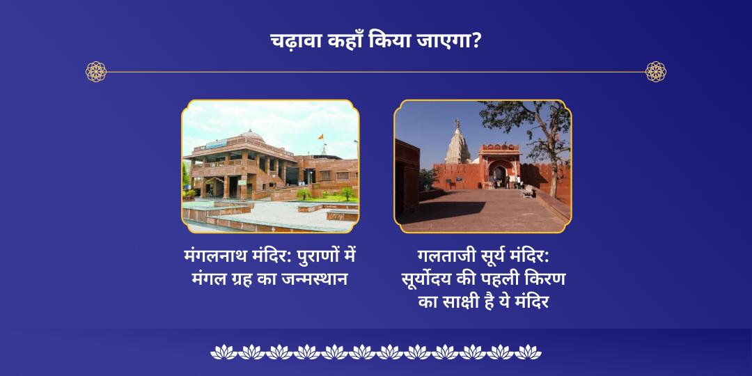 एकादशी पुण्य तिथि कुंडली ग्रह एवं कर्म शांति 9 नवग्रह चढ़ावा एवं सेवा