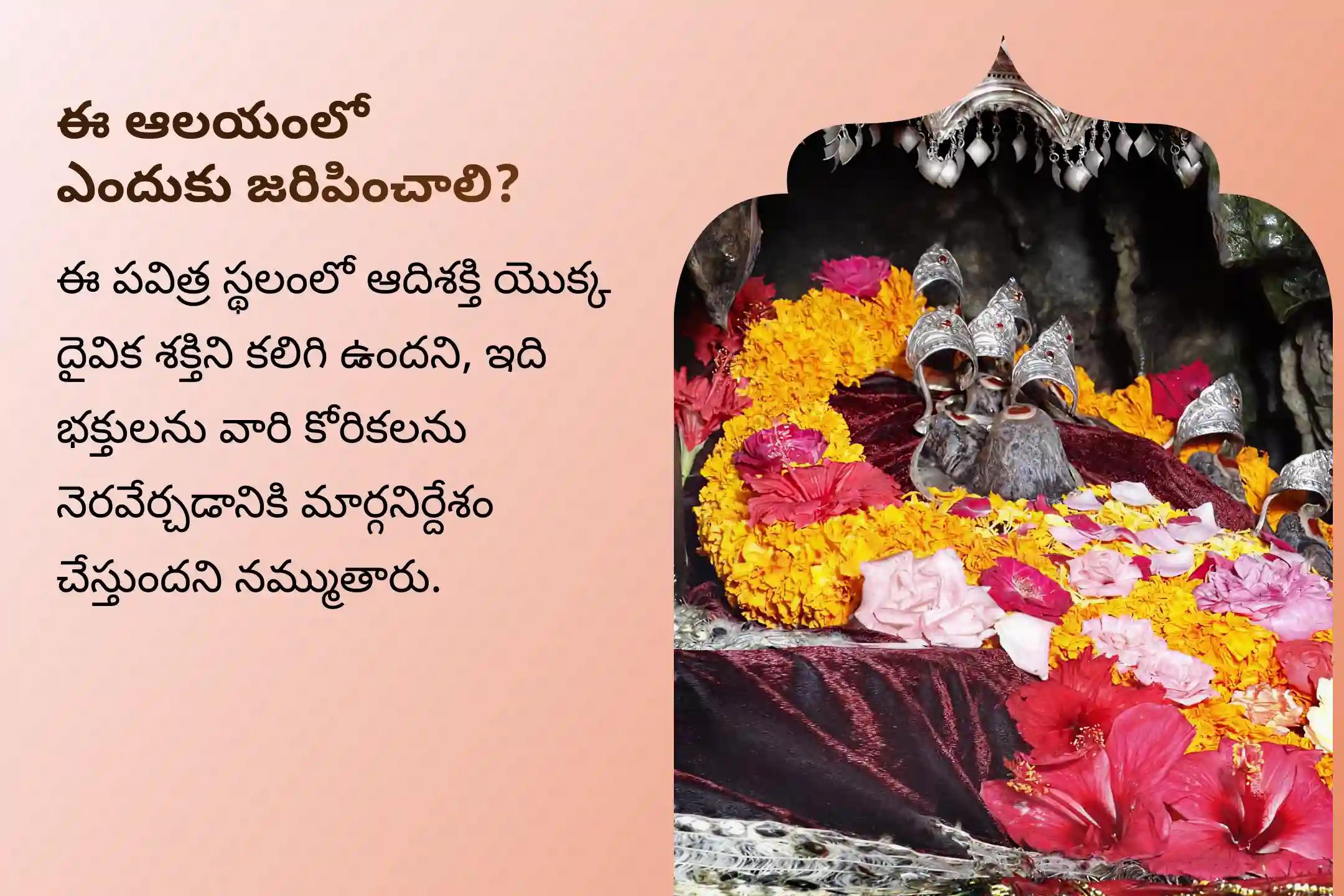 నరదృష్టి, ప్రమాదాలు మరియు ప్రతికూల శక్తుల నుండి కుటుంబాన్ని రక్షించడానికి ప్రత్యేక దుర్గా సప్తశతి పారాయణం మరియు చండీ హోమంలో పాల్గొనండి.