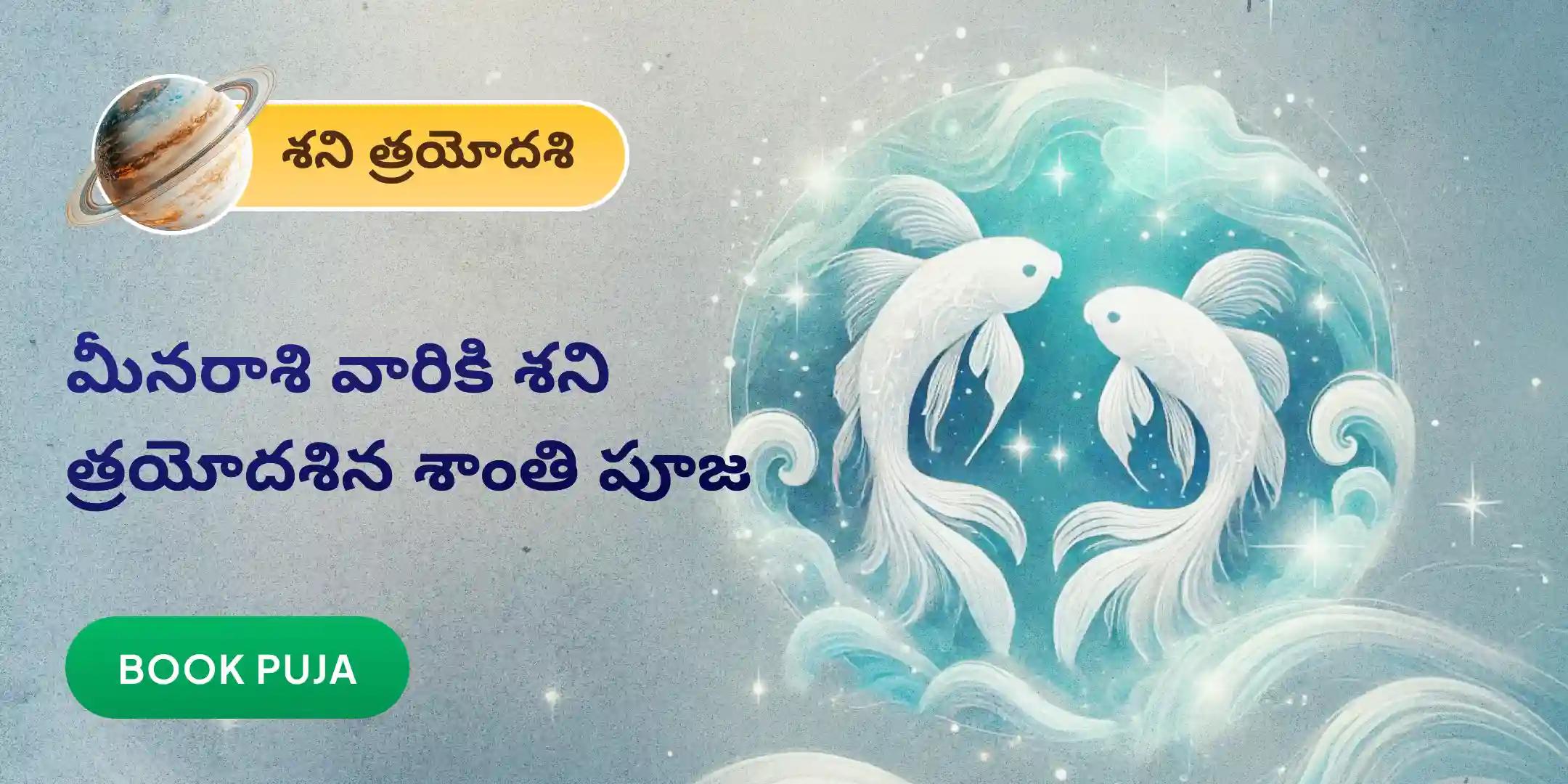 మీనరాశి వారికి కోసం ఏలి నాటి శని శాంతి పూజ