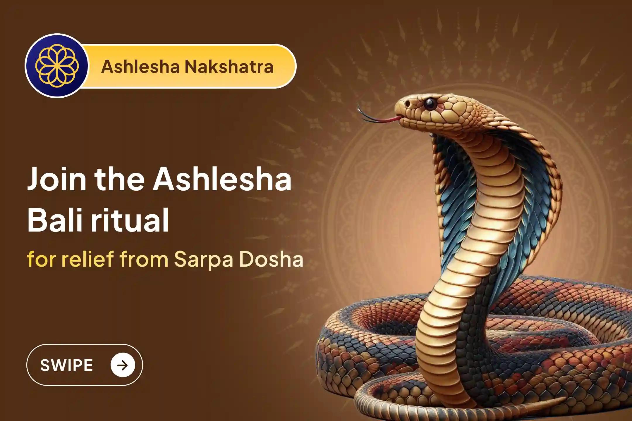 😔 Is an unseen force obstructing happiness and success in your life? 🌑 Pacify negative energy in this special Nakshatra and welcome peace and balance into life with the blessings of 🐍 Nag Devta (Serpent God).