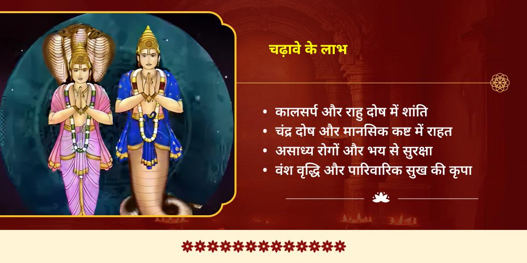 शिवरात्रि माह अश्लेषा नक्षत्र-सोमवार महायोग शिव-राहु-नाग चढ़ावा  