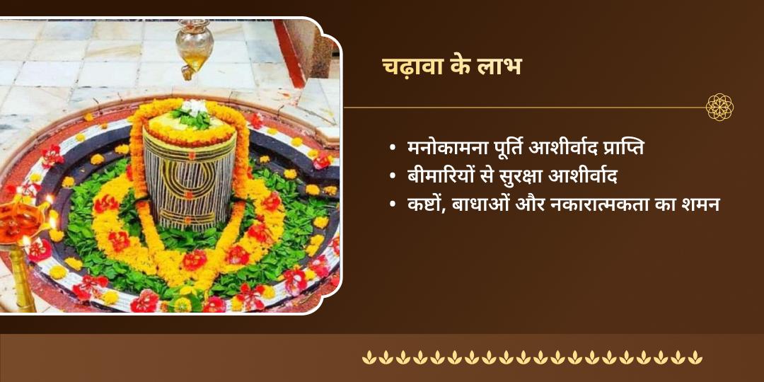 महाशिवरात्रि नवां ज्योतिर्लिंग बाबा बैद्यनाथ धाम चढ़ावा 